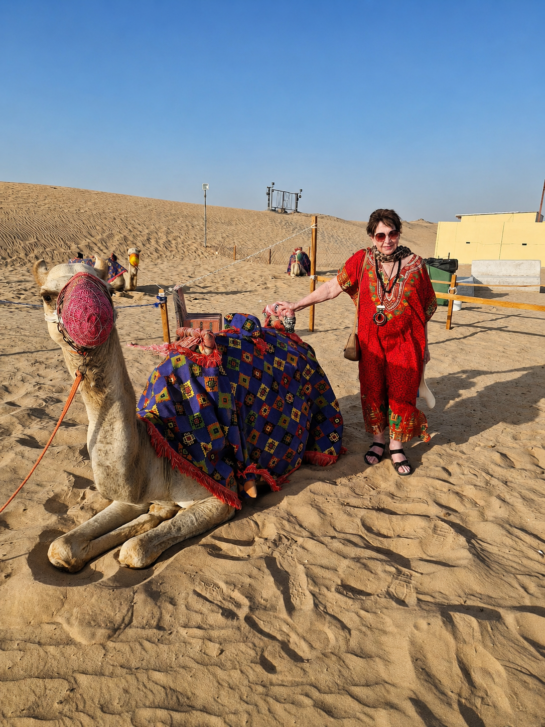 Marlene Galeazzi em pé no deserto de Dubai ao lado de um camelo decorado.